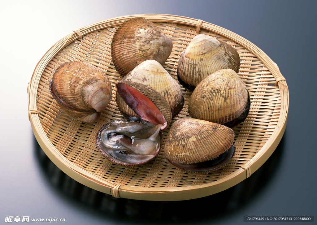 贝壳
