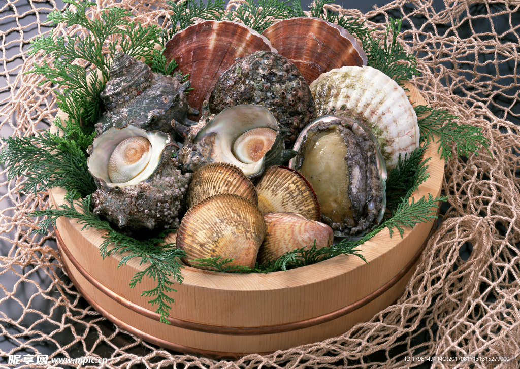 贝壳