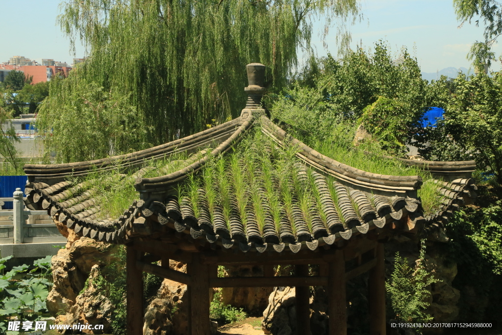 园林美景