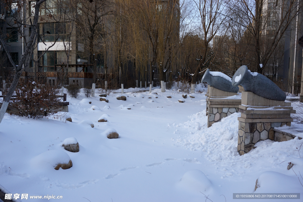 园区 景观 雪地