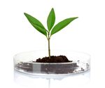 生命科学  科学研究 孕育