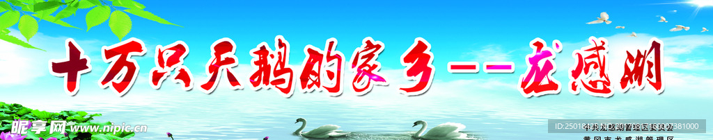 十万只天鹅的家乡