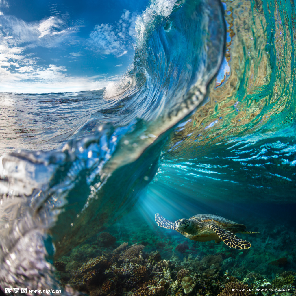 海浪