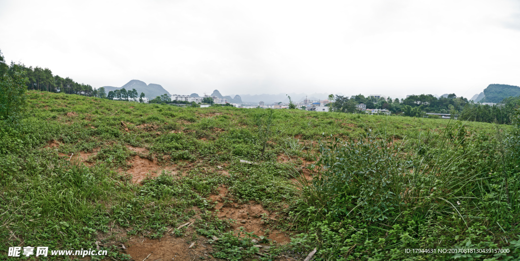 草地全景