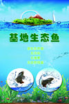 生态鱼海报