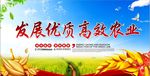 发展农业致富绿色海报
