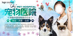 宠物医院医疗