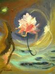 一朵莲花