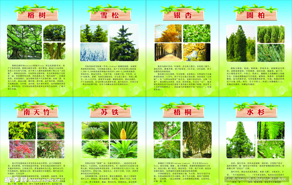 树木植物挂牌
