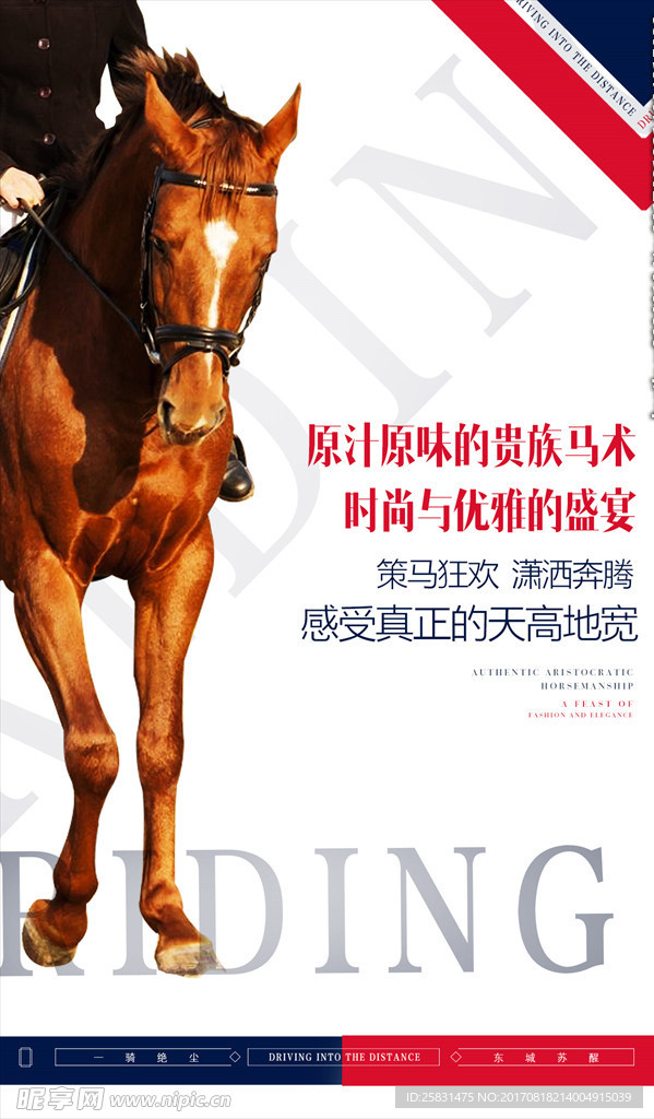 骑马