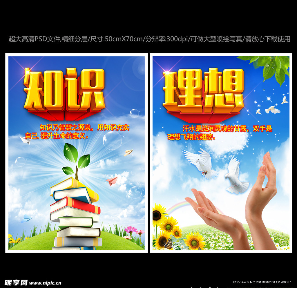 校园文化