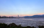 深圳红树林生态公园