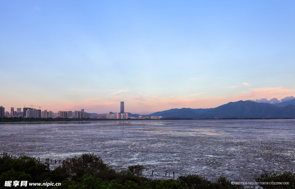 深圳红树林生态公园