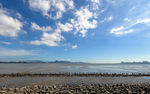 深圳湾公园