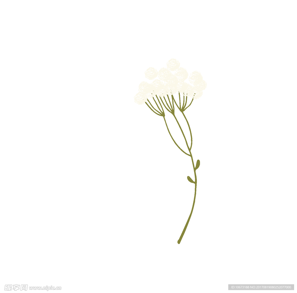 花草