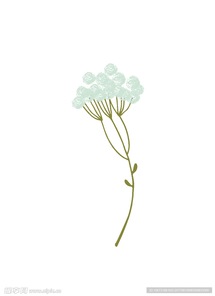 花草