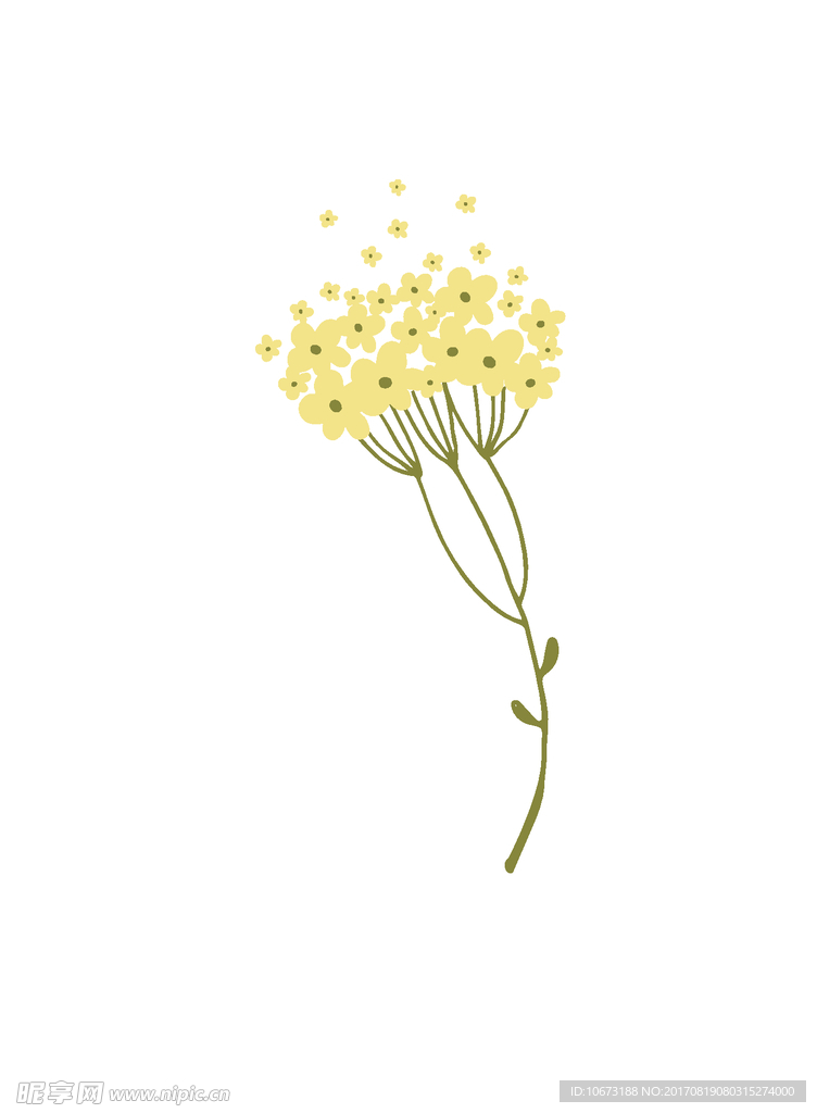 花草
