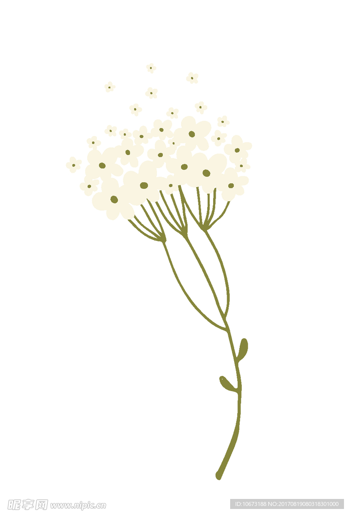 花草
