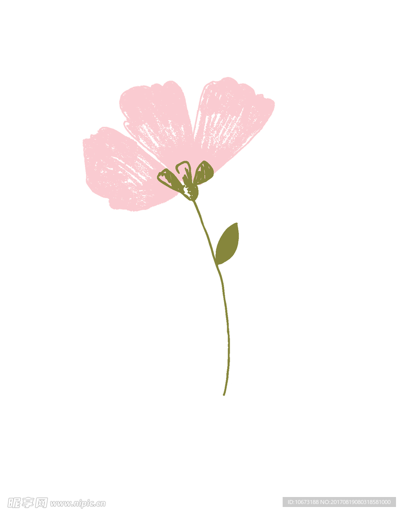 花草