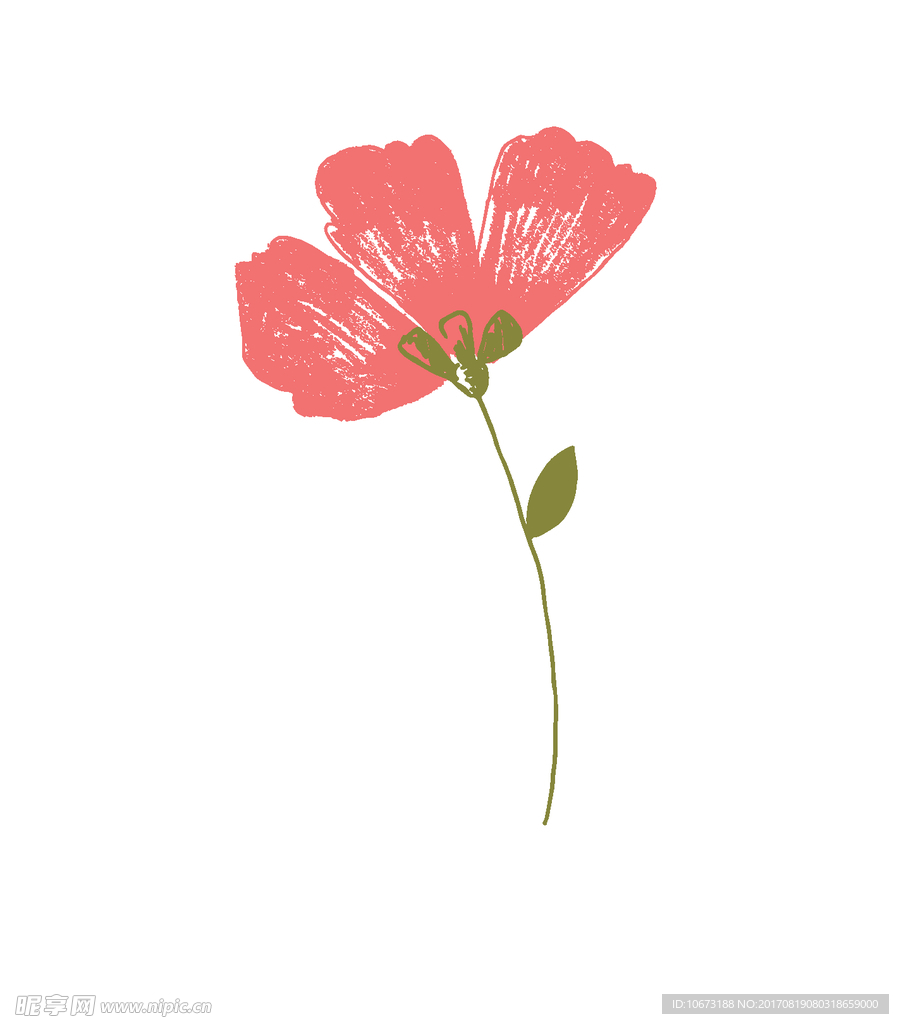 花草