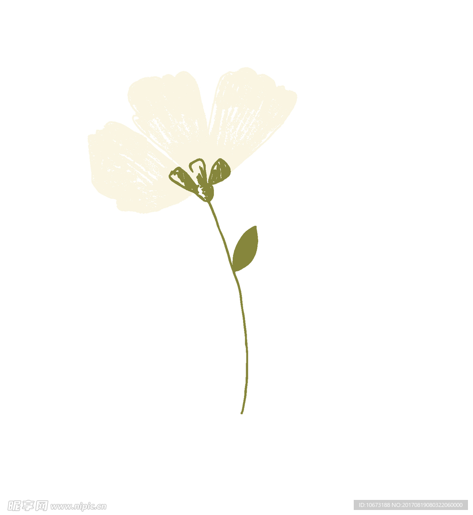 花草