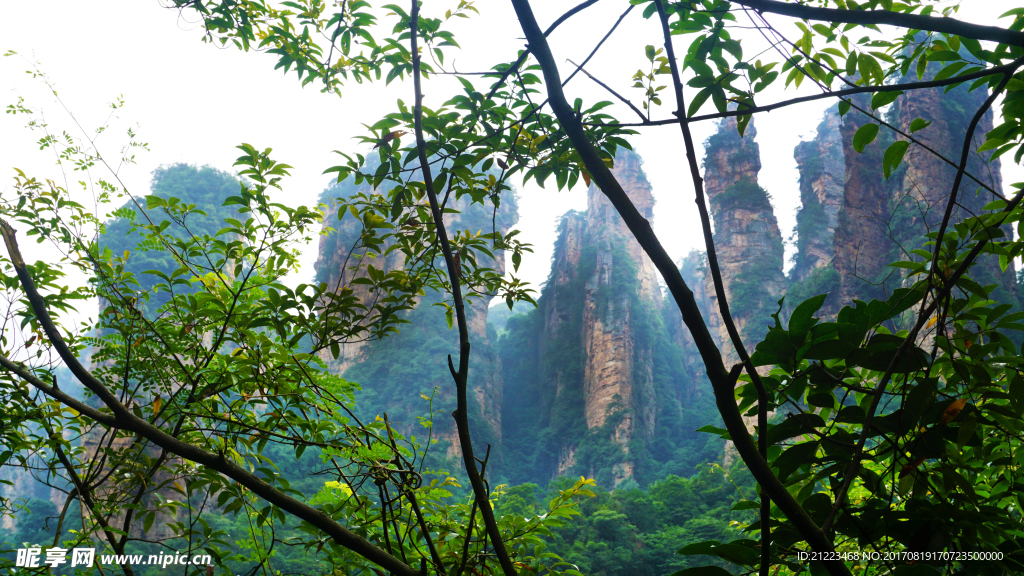 袁家界景区山景