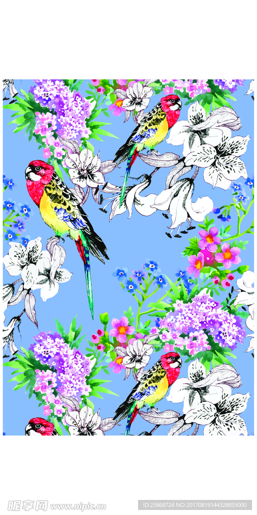 手绘花鸟