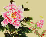 牡丹花