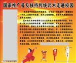 国家推广普及扶持传统武术走进校