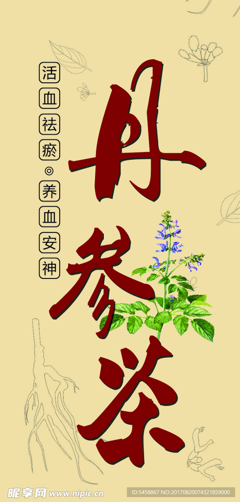 丹参茶