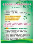 绿色生物