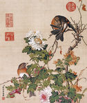 郎世宁 菊花