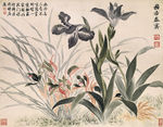恽寿平花草