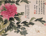 恽寿平花草