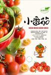 生态小番茄海报