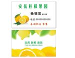 柠檬名片 cdr x4