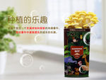蘑菇种植盒海报