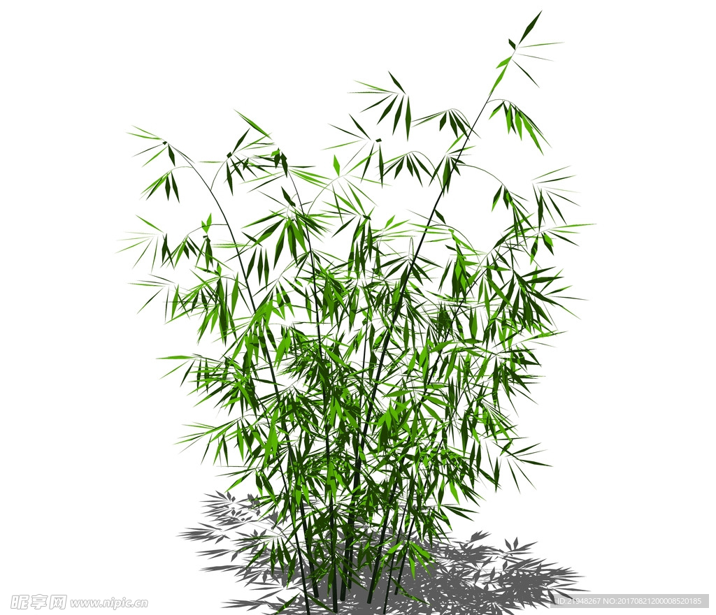 SU植物模型 竹子