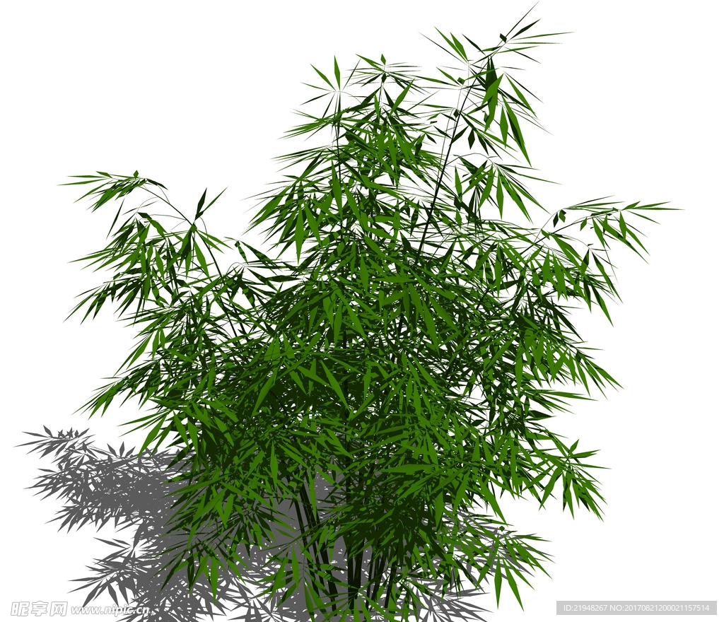 SU植物模型 竹子