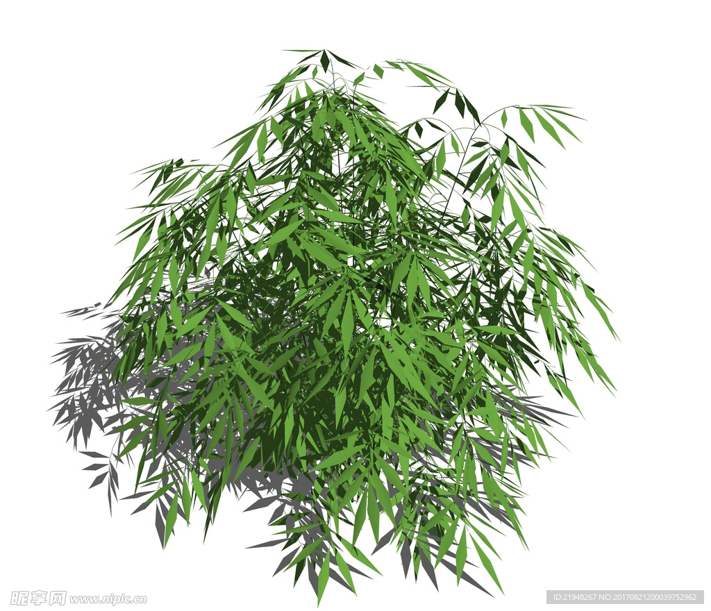 SU植物模型 竹子