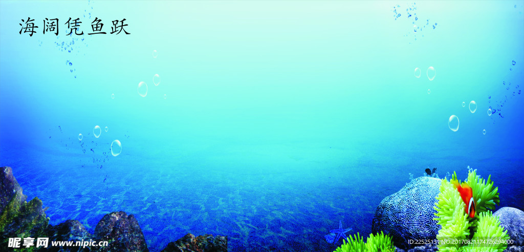 海底图片