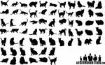 猫的剪影
