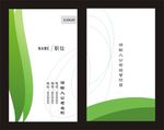 绿底名片