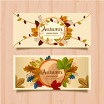 树叶banner