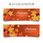 落叶banner