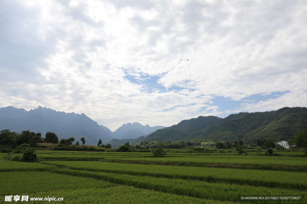 蓝天下的田地