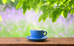 茶图片