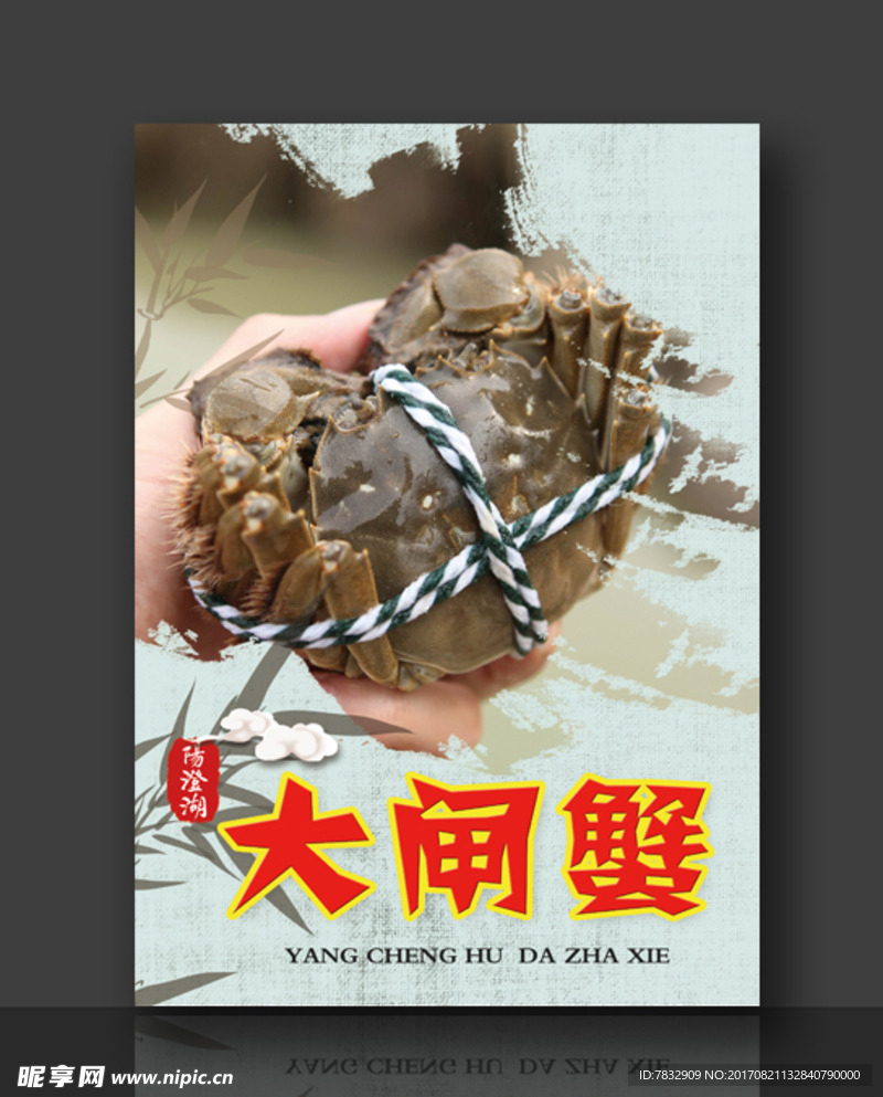 阳澄湖大闸蟹 鲜活螃蟹