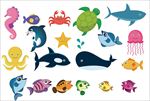 海洋生物
