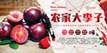 李子天然水果宣传海报